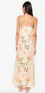 Andalus Dress Daylily