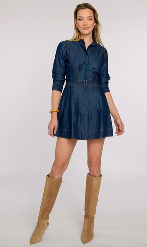 Cameron Dress Solid Denim