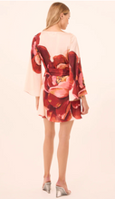Load image into Gallery viewer, Twiggy Dress Peony Love