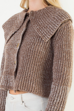 Load image into Gallery viewer, Cooper Collar Cardigan Teddy