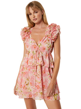 Load image into Gallery viewer, Lily Dress Blushing Flora